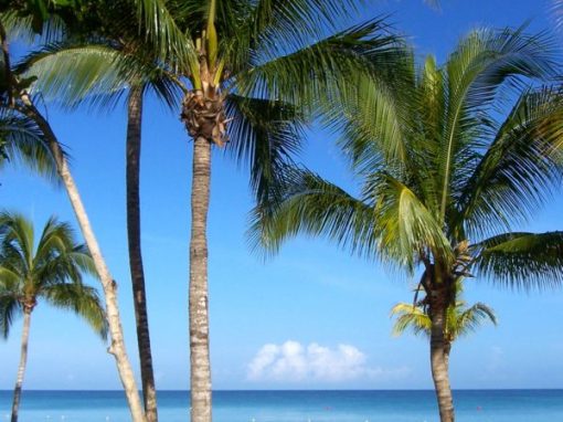 2009 Jamaica