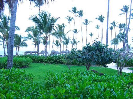 2010 Dominican Republic