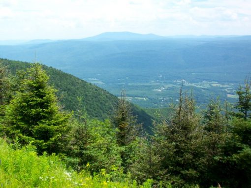2010 Vermont