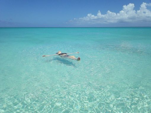 2014 Turks and Caicos